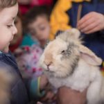 Visita granja escuela CEI Guadalquivir