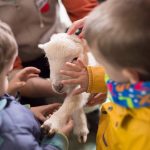 Visita granja escuela CEI Guadalquivir