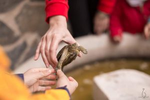 Visita granja escuela CEI Guadalquivir